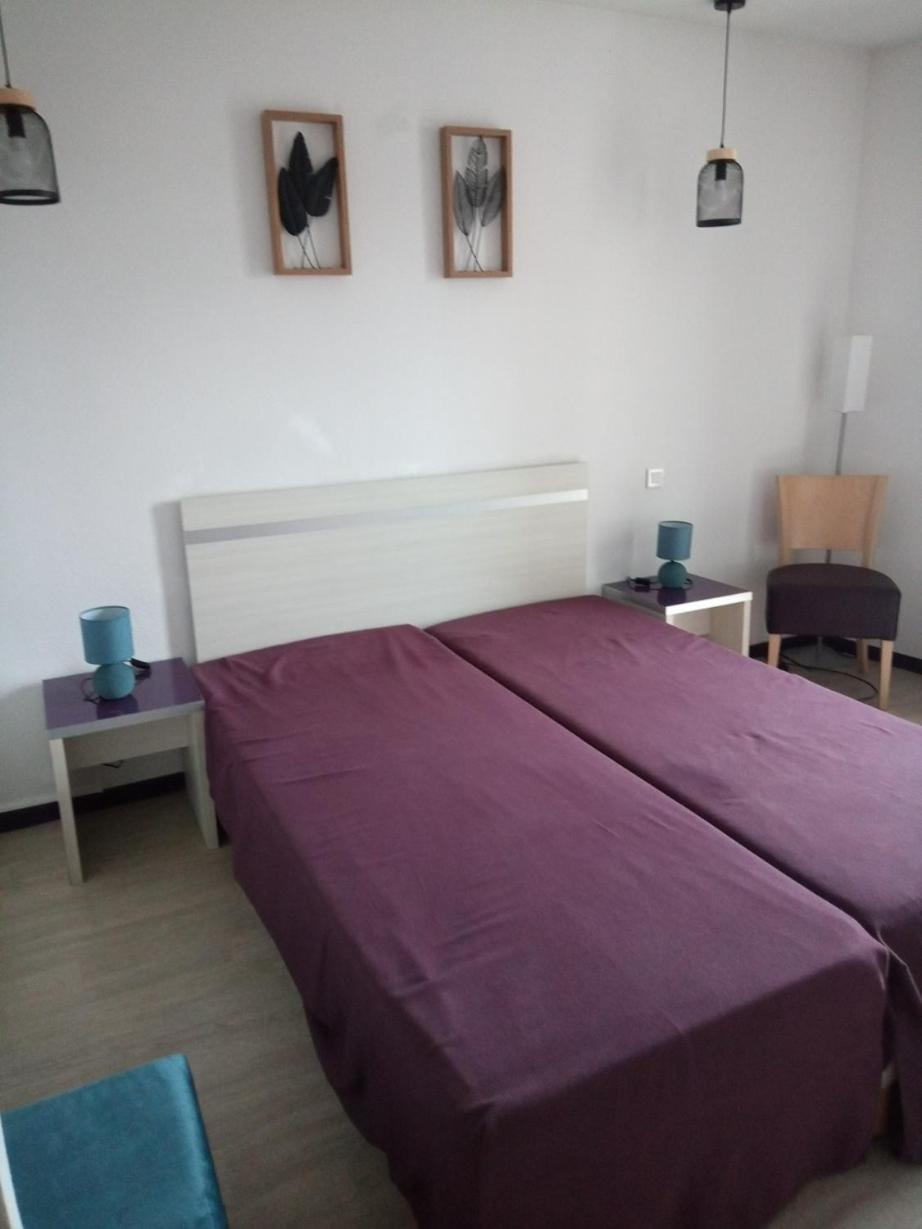 Agreable Studio Familial A Lourdes, Proche Gare Kültér fotó